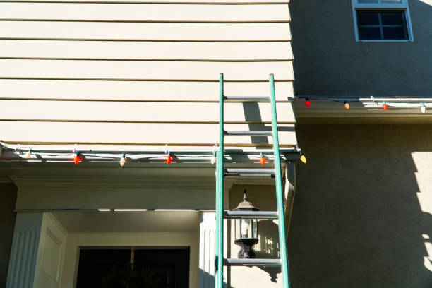 Best Stone Veneer Siding  in Oak View, CA