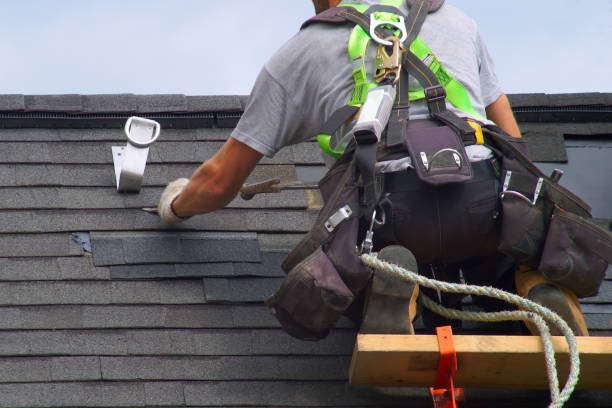 Best Residential Vinyl Siding Installation  in Oak View, CA