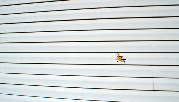 Best Stucco Siding  in Oak View, CA