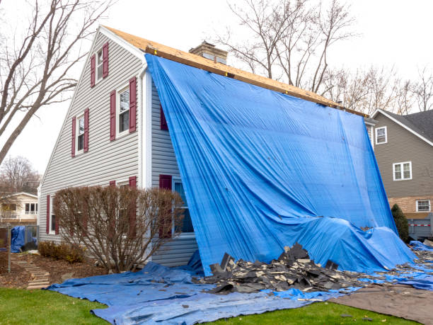 Best Siding Painting and Refinishing  in Oak View, CA