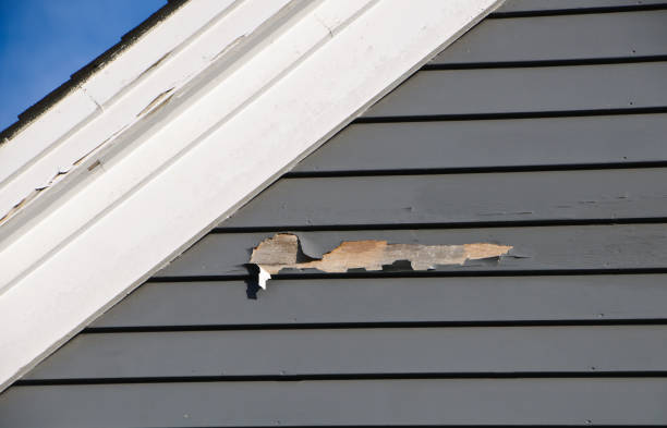 Best Custom Siding Design  in Oak View, CA